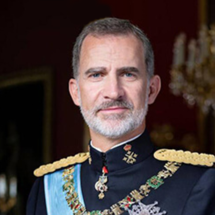 His Majesty Don Felipe VI