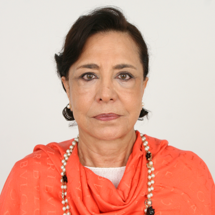 H.E. Dr. Assia Ben Salah Alaoui