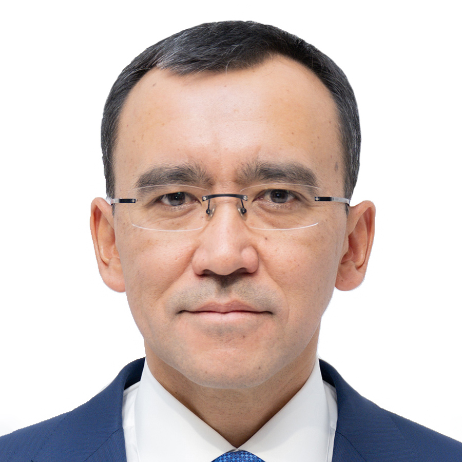 H.E. Mr. Maulen Ashimbayev